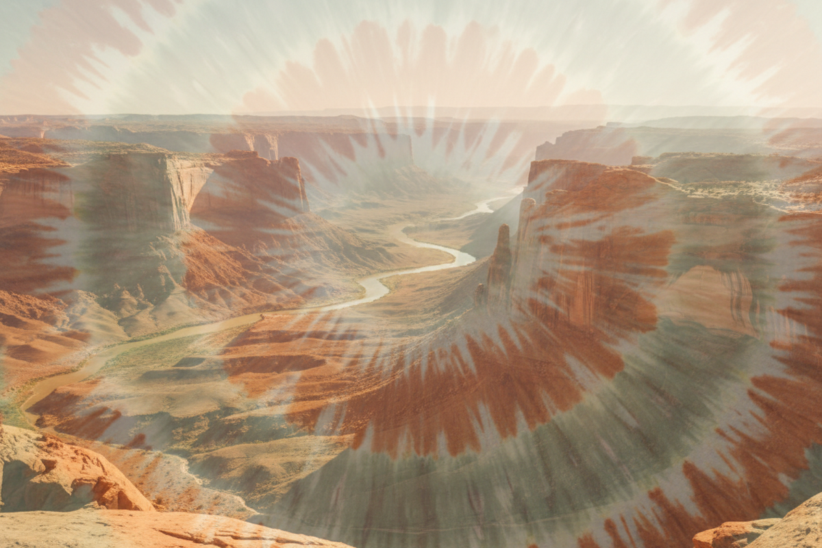 The Sun-Drenched Solstice Collection