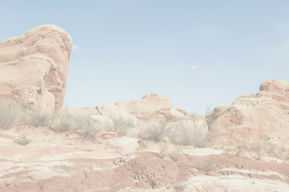 Red rock desert landscape with large sandstone formations and sparse shrubs under a clear blue sky.