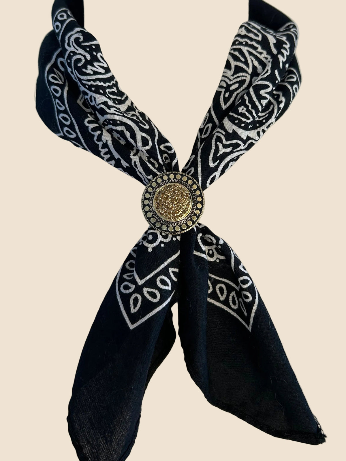 The Midnight Paisley & Sunburst Concho Slide Set